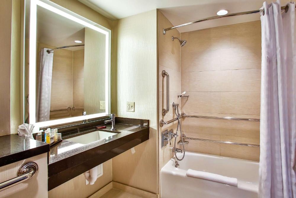Embassy Suites by Hilton Chicago Downtown Magnificent Mile Imagen 51