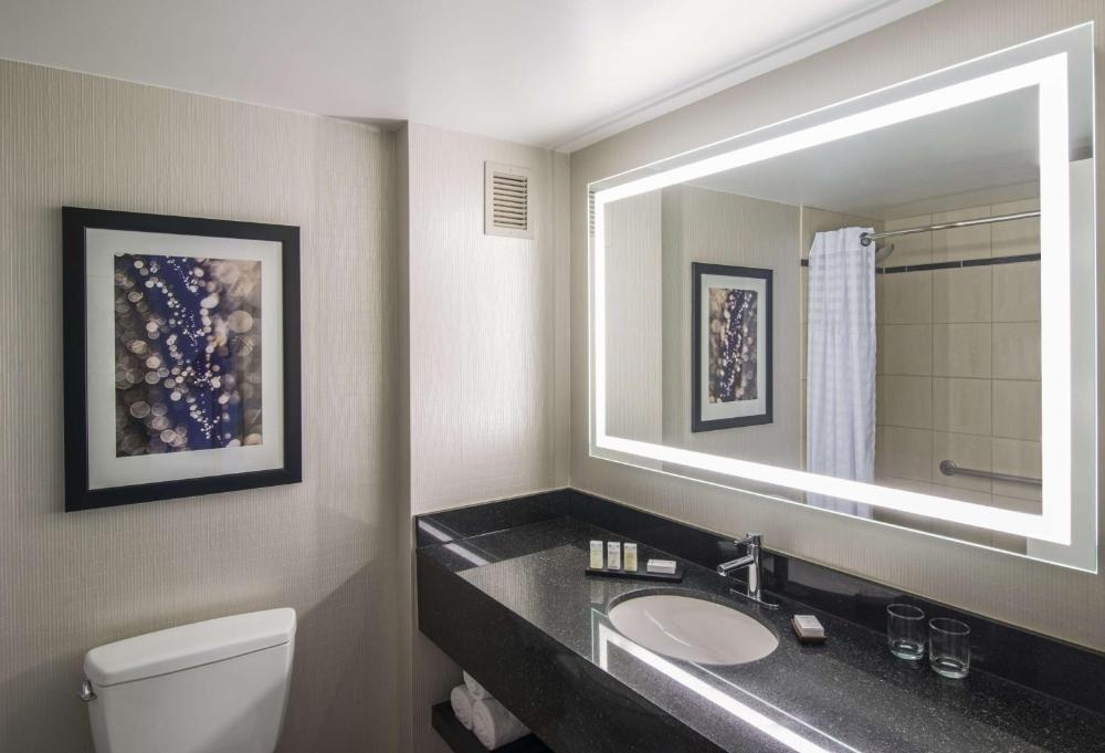 Embassy Suites by Hilton Chicago Downtown Magnificent Mile Imagen 56